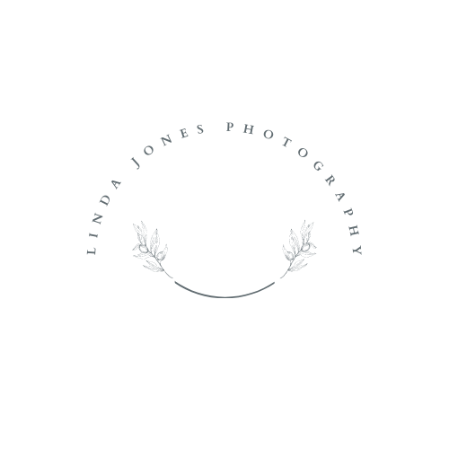 AdnilSenoj logo